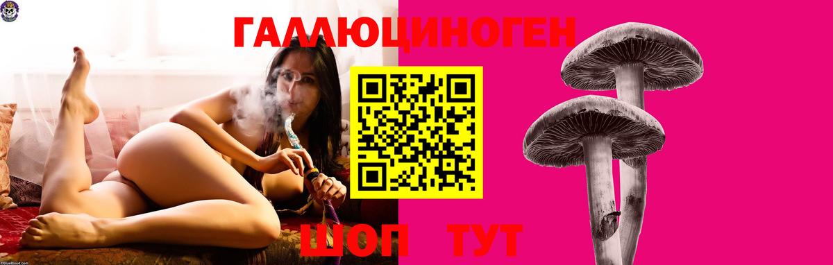 Галлюциногенные грибы Psilocybine cubensis  Вход с VPN  где можно купить наркотик  Кирово-Чепецк 